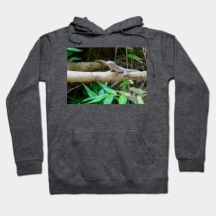 Cute Lizard Hoodie